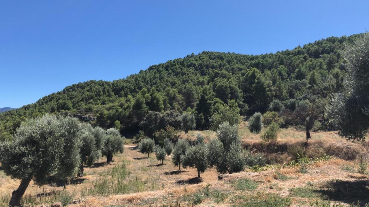 Masia Mas De La Creu 瓦德诺比斯 外观 照片