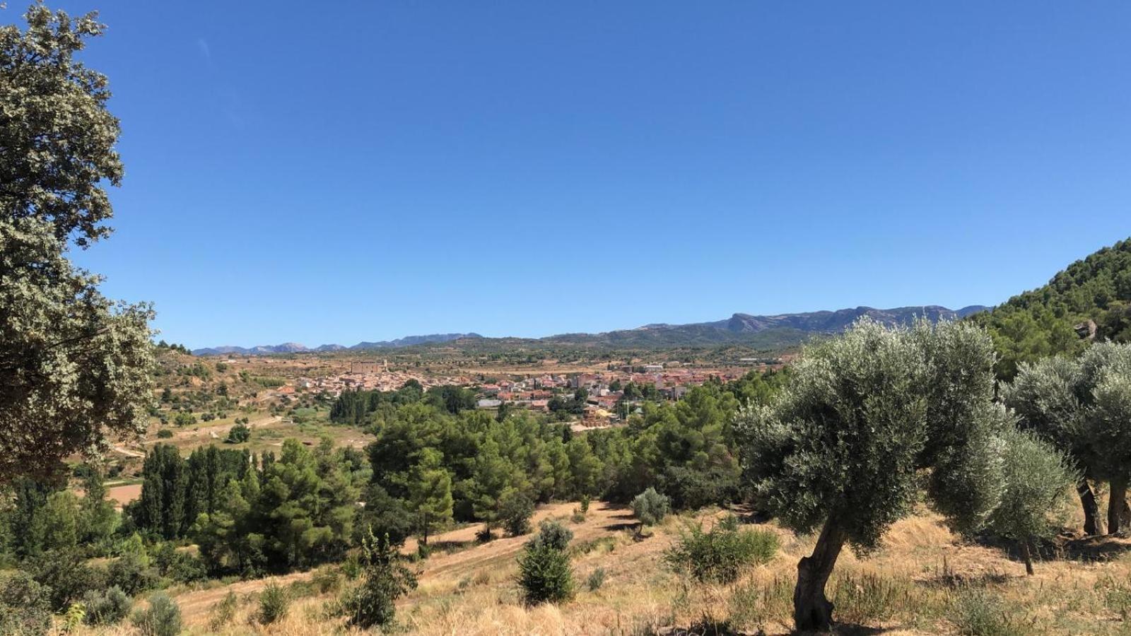 Masia Mas De La Creu 瓦德诺比斯 外观 照片