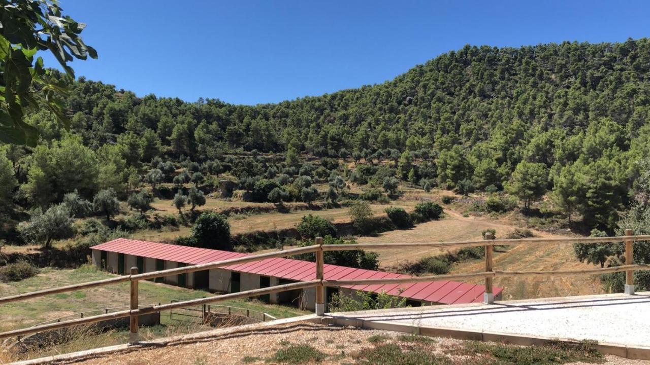 Masia Mas De La Creu 瓦德诺比斯 外观 照片